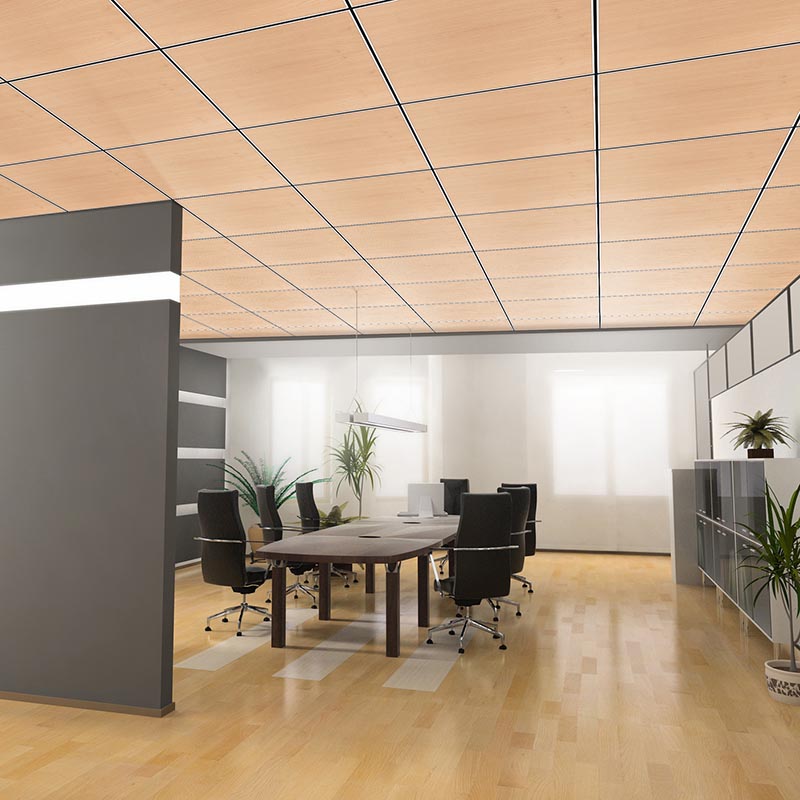 Knauf Ceiling Solutions DONN® Fineline Project Image