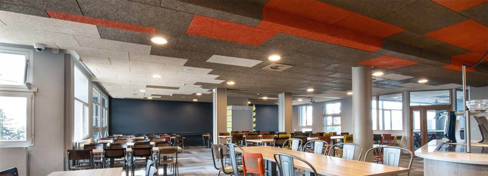 Organic Panels Installed Into a Canteen with Coloured Finish