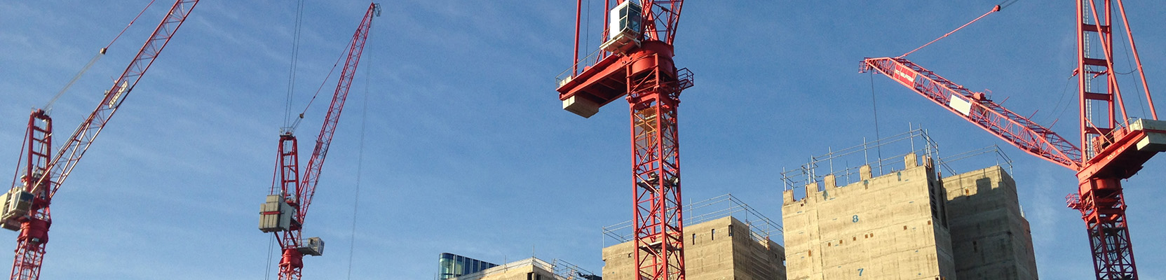 Cranes on a building site