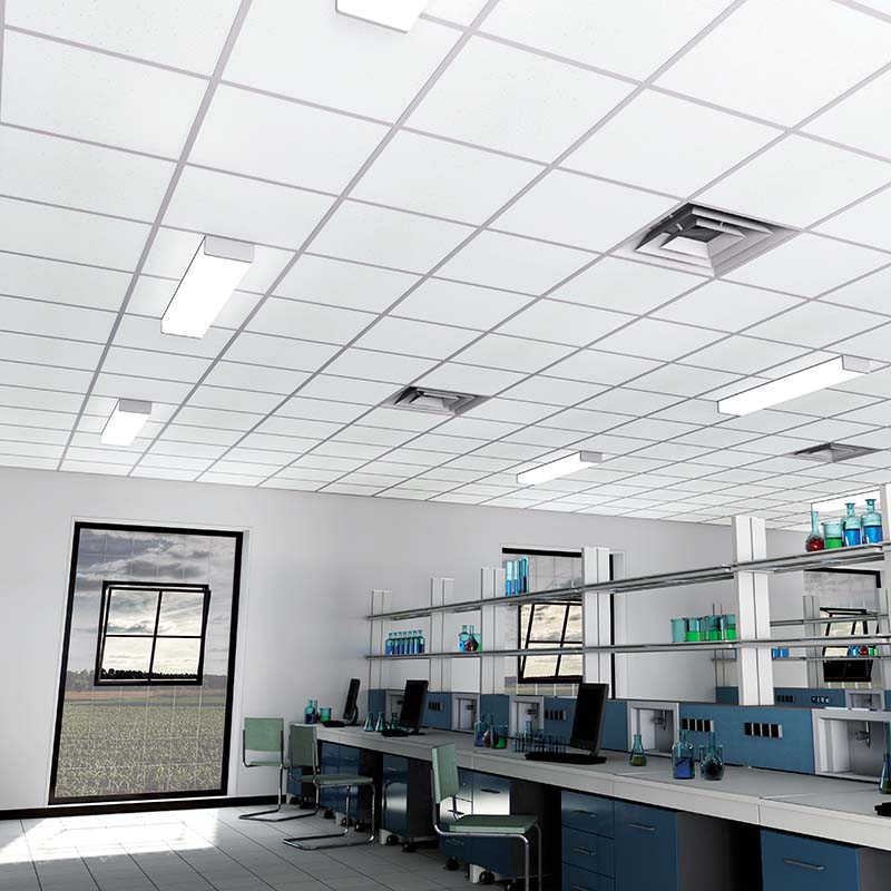 Zentia Gridline 24 Clean Project Image